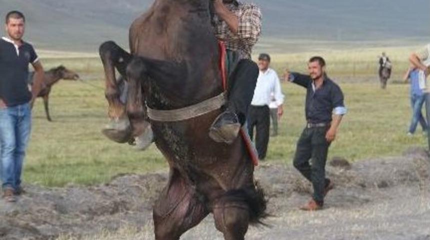 Ardahan'da Rahvan At Yarışları B&uuml;y&uuml;k İlgi G&ouml;rd&uuml;