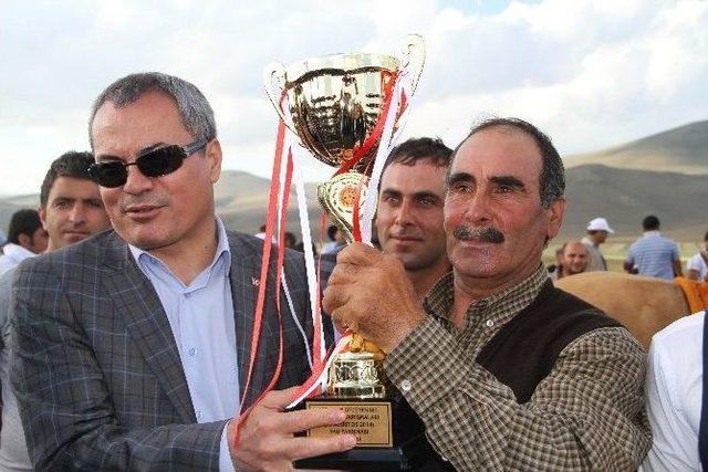 Ardahan da Rahvan At Yarışları B&uuml;y&uuml;k İlgi G&ouml;rd&uuml; 2