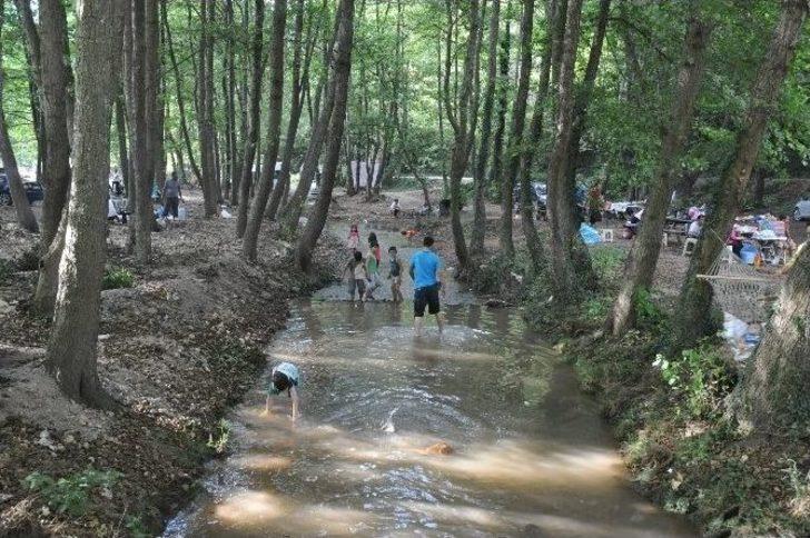 Akçakoca'da Mesire Alanları Doldu Taştı G2