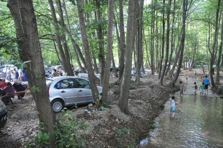 Akçakoca'da Mesire Alanları Doldu Taştı G3