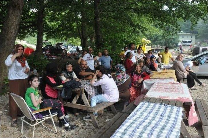 Akçakoca'da Mesire Alanları Doldu Taştı G4