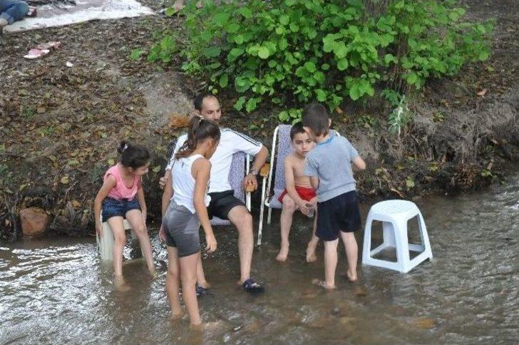Akçakoca'da Mesire Alanları Doldu Taştı G5