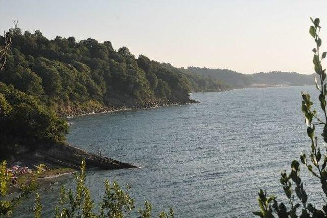 Karadeniz'in Mavi Bayraklı Plajına Yoğun İlgi