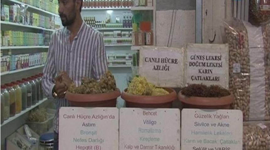 G&uuml;neş Yanmasını Engelleyen Bitkisel İlaca İlgi B&uuml;y&uuml;k