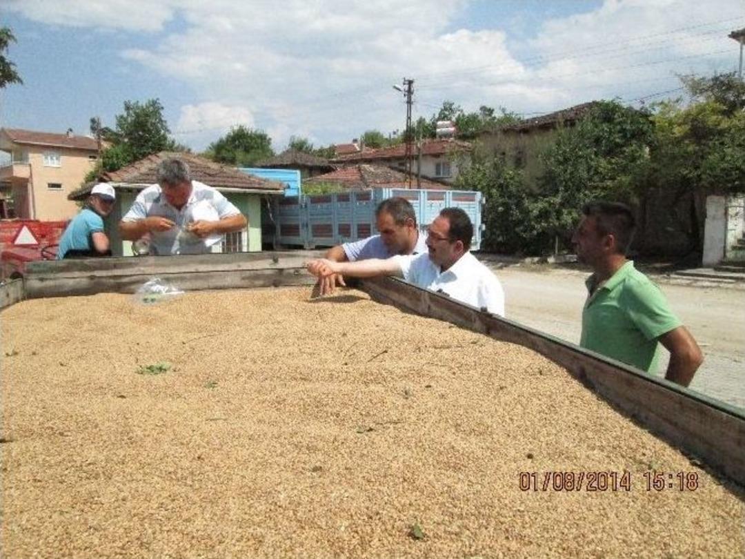 Buğday Alımı Yapan K&ouml;ylerde İnceleme