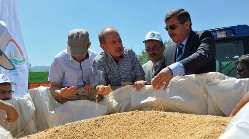 Mustafa Kurt: "k&uuml;tahya, T&uuml;rkiye'nin Buğday İhtiyacının Y&uuml;zde 1,5'ini Karşılıyor"