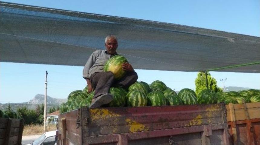 Karpuz Fiyatlarının Aniden D&uuml;şmesi &Ccedil;ift&ccedil;iyi Zor Durumda Bıraktı