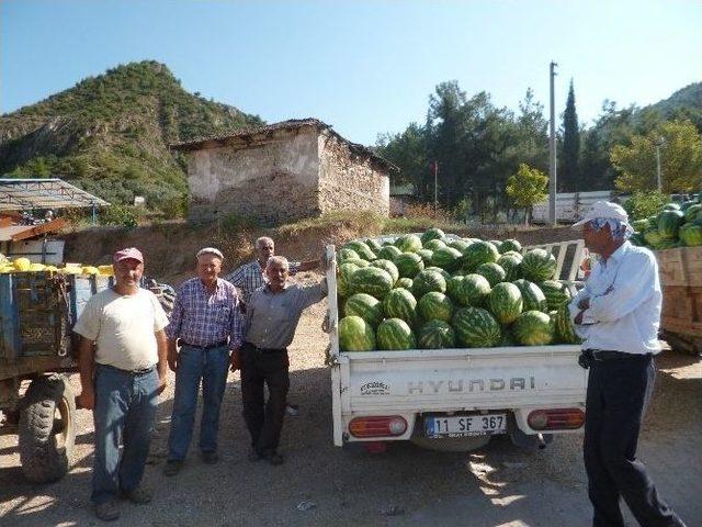 Karpuz Fiyatlarının Aniden Düşmesi Çiftçiyi Zor Durumda Bıraktı