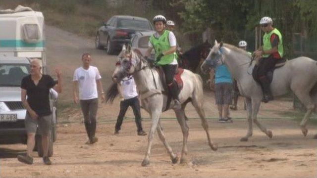 Atlı Dayanıklılık Yarışması Gebze’de Düzenlendi 1