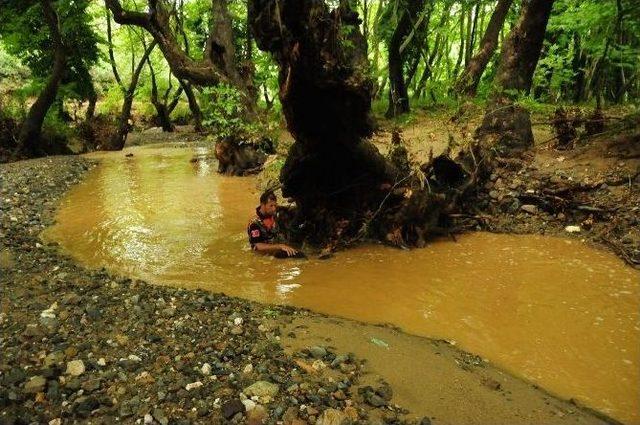 Lapseki'de Sel: 1 Kişi Kayıp