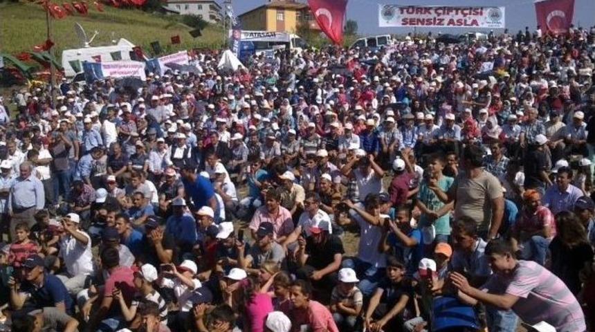 Ayvacık&rsquo;ta Bahar Şenliği