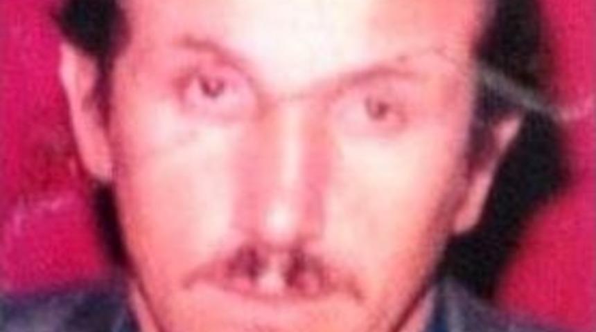 Kestiği Ağa&ccedil; &Uuml;zerine D&uuml;şen Şahıs Hayatını Kaybetti