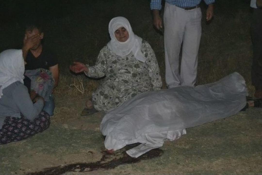 &Ccedil;oban Dehşet Sa&ccedil;tı: 7 &Ouml;l&uuml;