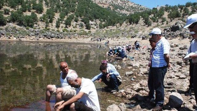 Vali Demirtaş, Gerger Sülüklü Gölde İncelemelerde Bulundu