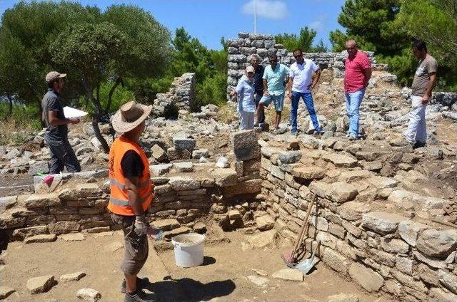 Bodrum Meclis Üyeleri Pedasa Antik Kenti'ni Ziyaret Etti