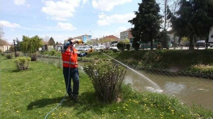 Odunpazarı&rsquo;nda İla&ccedil;lama &Ccedil;alışmaları