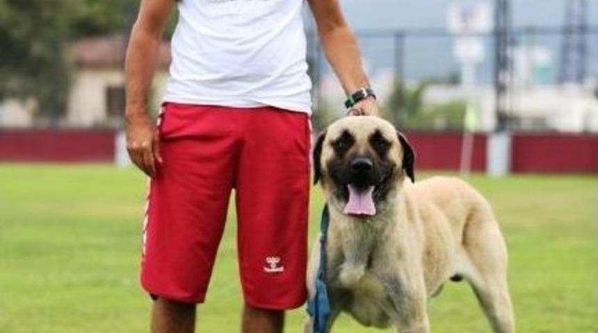 Can Dostlardan Soma&rsquo;ya Yardım Eli