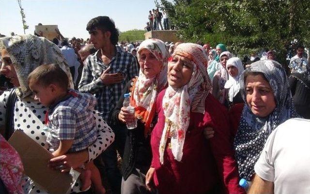 Çobanın Öldürdüğü 7 Kişi Toprağa Verildi 1