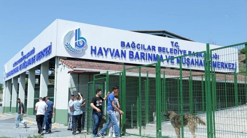 Hayvan Barınma Ve M&uuml;şahade Merkezi'nde Hayvanlara &Ouml;zel Bakım