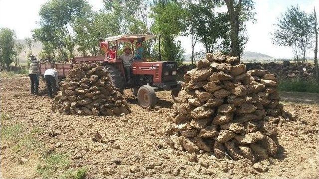 Bitlis’te Kışlık Yakacak Telaşı