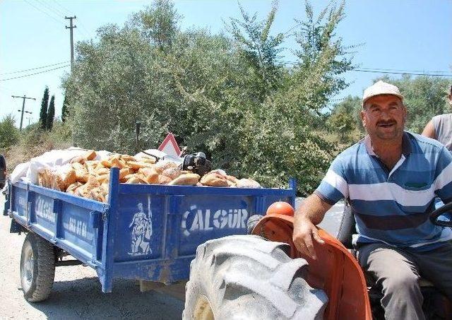 Turizmde Herşey Dahil Sisitemi’nin Sağlığa Ve Çevreye Olumsuz Etkilediği Belirlendi