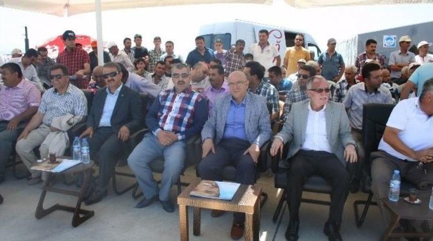 Ebi&ccedil; K&ouml;y&uuml; 4. Buğday Ve Su Festivali&rsquo;nde Ebi&ccedil;&rsquo;e &lsquo;k&ouml;y Konağı&rsquo; S&ouml;z&uuml;