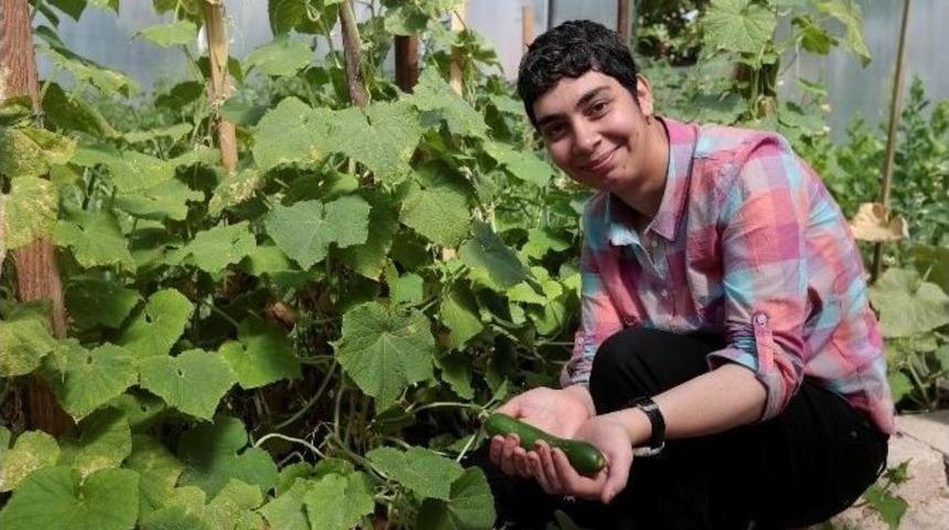 Engelliler İ&ccedil;in Kurulan &Ouml;rnek Serada İlk &Uuml;r&uuml;n Hasadı Yapıldı