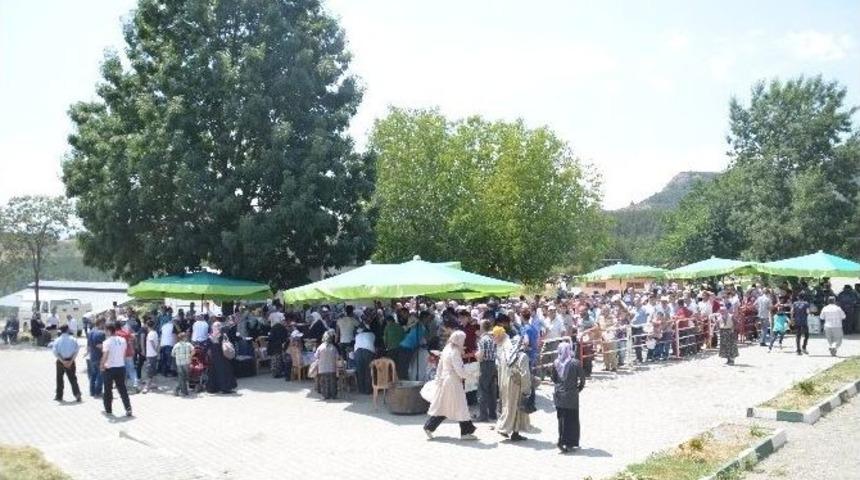 Tosya&rsquo;da S&uuml;nnet Ş&ouml;leni Festival Havasında Ge&ccedil;ti