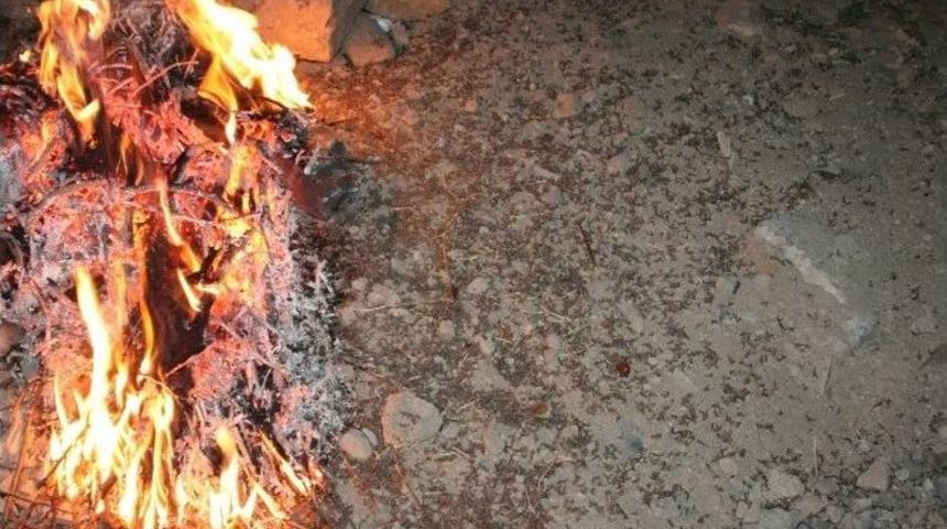 Hakkari&rsquo;deki Kelebek İntiharı Halkı Endişelendiriyor