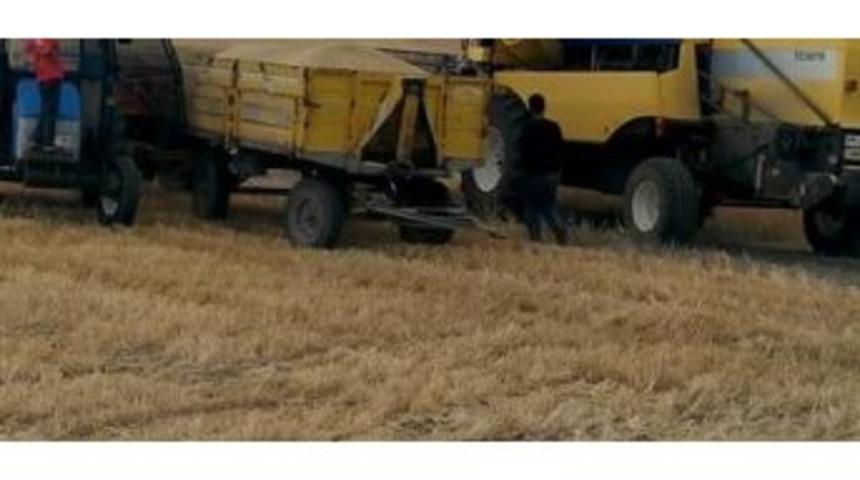 Biçerdöverle Hasat Kontrolleri Devam Ediyor