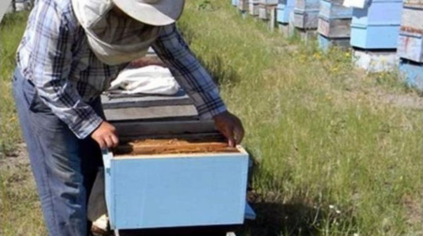 Tkdk&rsquo;dan Aydınlı Arıcılara Bal Gibi Hibe