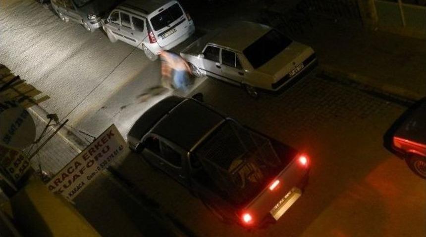 K&ouml;peklere Gece Yarısı Operasyonu İddiası