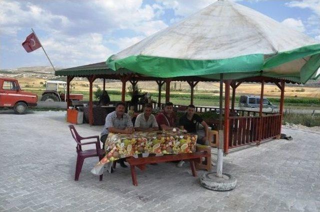 Bu Tarlada Herkes Kendi Sebzesini Kendi Topluyor 2