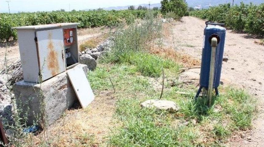 &Uuml;z&uuml;m Bağında 5 Kurşunla İnfaz