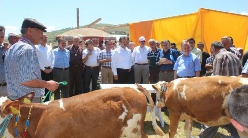 Yarışmacılara &lsquo;yem&rsquo; &Ouml;d&uuml;l&uuml;