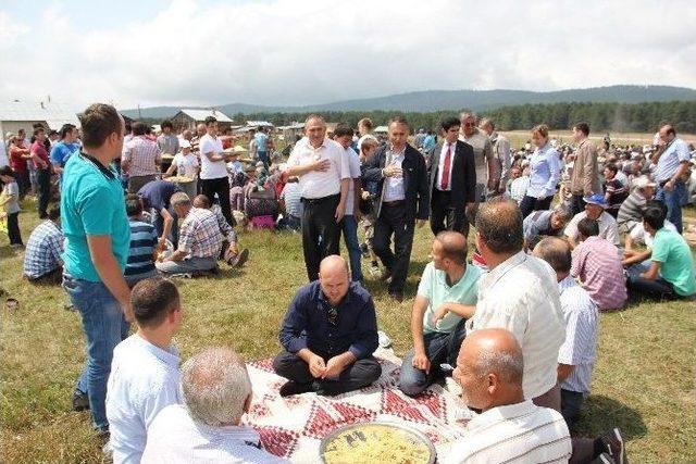 Ak Parti Teşkilatı Yaylalara Çıktı