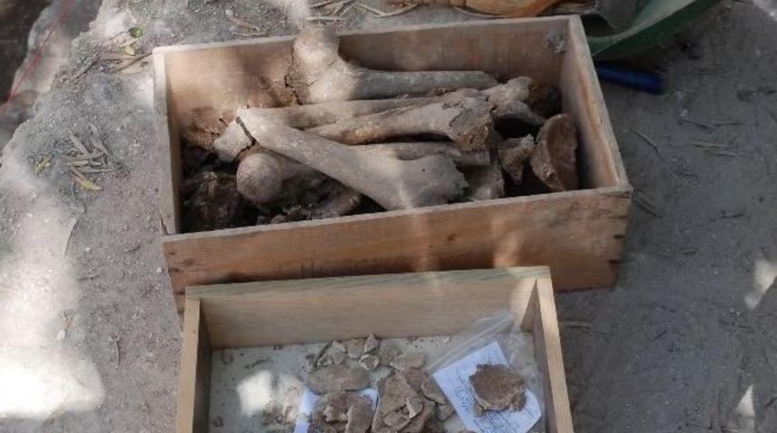 Didim&rsquo;deki Kazılarda İskelet Bulundu