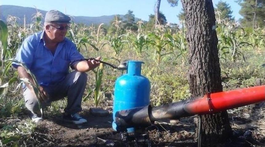 Domuzkovar Tarlada Yangına Neden Oldu