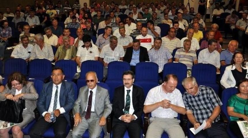 Krali&ccedil;e Meyvesine Hormon İlacı Atana 10 Bin Lira Ceza