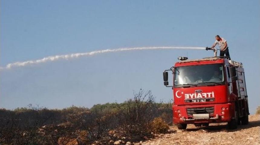 Didim&rsquo;de Makilik Yangını B&uuml;y&uuml;meden S&ouml;nd&uuml;r&uuml;ld&uuml;