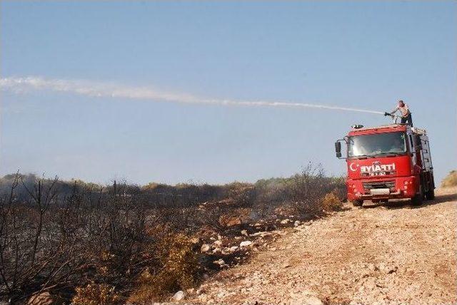 Didim’de Makilik Yangını Büyümeden Söndürüldü