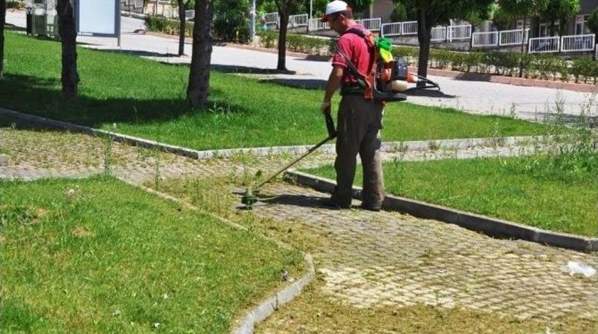Tekirdağ'da &Ccedil;im Ve Otların Temizliğine Başlandı