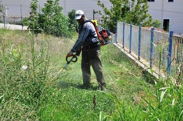 Tekirdağ'da Çim Ve Otların Temizliğine Başlandı