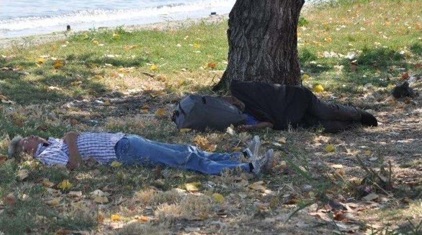 Tekirdağ&rsquo;da Sıcak Hava Nem Bunaltıyor