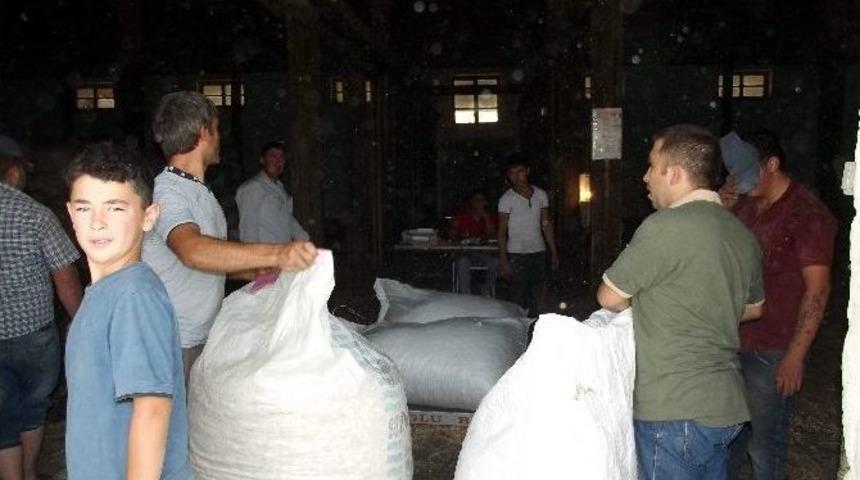 Tmo Haşhaş Kabuk Alımına Başladı