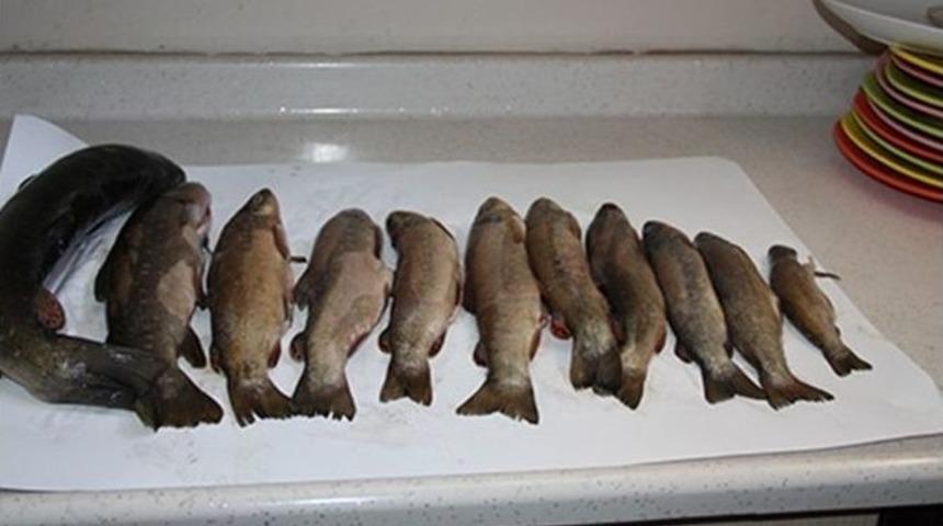 Yasak Avlanmaya Bin 918 Lira Ceza