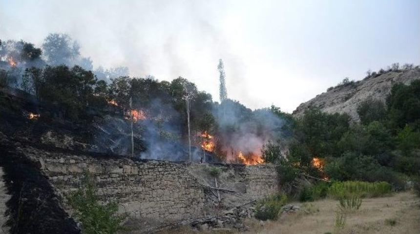 Darende&rsquo;de Yangın Korkuttu