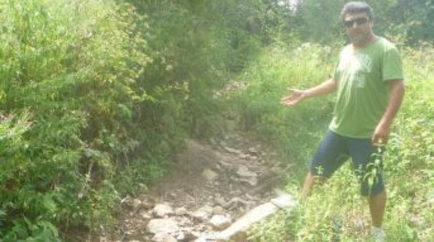 Bilecik'te Kuraklık Nedeniyle Dereler Kuruyor