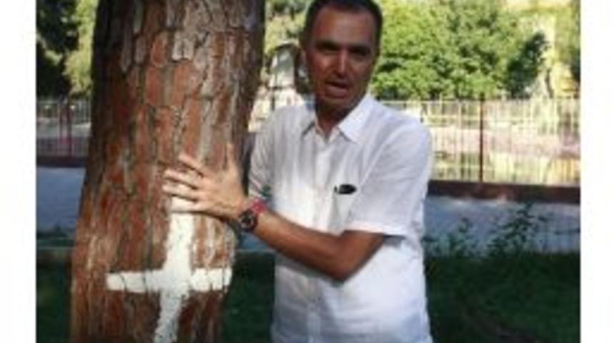 Hastane Bah&ccedil;esinde Ağa&ccedil; İ&ccedil;in Eylemi &Ccedil;ağrısı