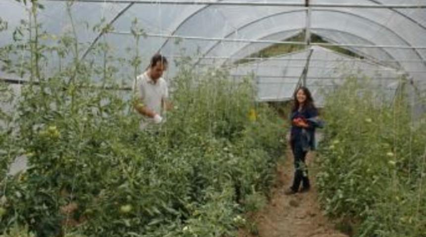 Seralar y&uuml;z g&uuml;ld&uuml;r&uuml;yor